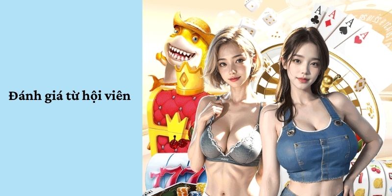 Đánh giá khách quan về nhà cái từ hội viên 