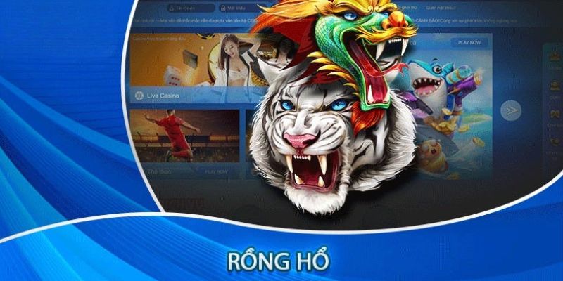 Tìm hiểu về game Rồng Hổ S666 mới nhất