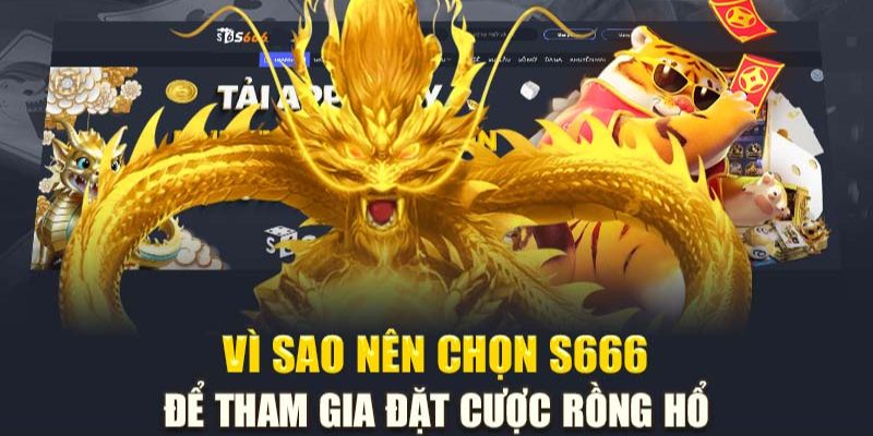 Ưu điểm của game Dragon Tiger tại nhà cái S666